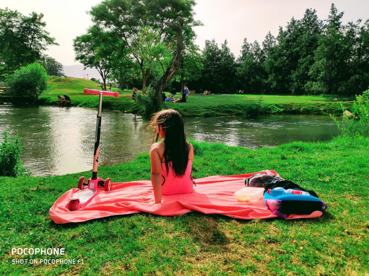 Villa By The River Facing The Hermon In Dafna Ngoại thất bức ảnh